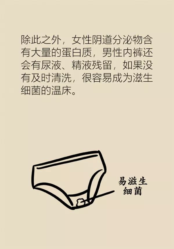 生活小妙招系裤带,排扣裤平时穿的正确穿法