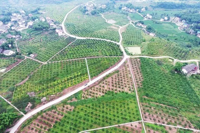 四好村名单出炉,2017年度四川省四好村