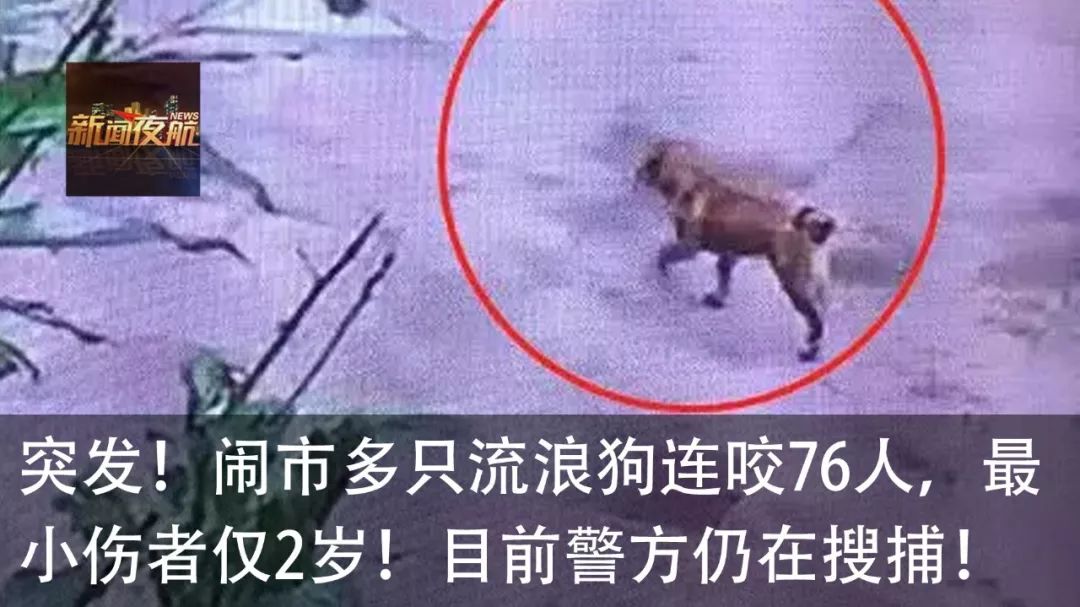 杀鸡杀出鸡宝价值上千万,杀鸡发现什么东西值钱