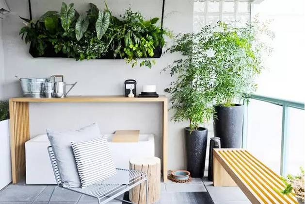 自制花肥有异味?!7个小窍门解决你的大烦恼!