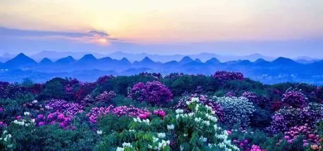 全国哪些景区对上海人免票,7月免门票景点