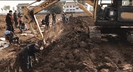 铁棍山药怎么做孩子们喜欢吃,什么样的铁棍山药好吃又营养