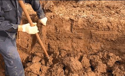 铁棍山药怎么做孩子们喜欢吃,什么样的铁棍山药好吃又营养