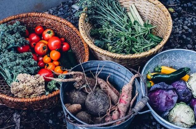 爆红日本的乡间面包店,爆红日本的乡间小店