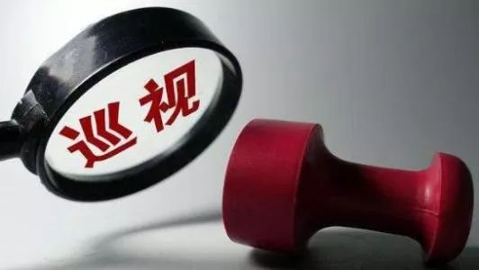 揭秘：十来人的巡视组如何巡查一个地级市？