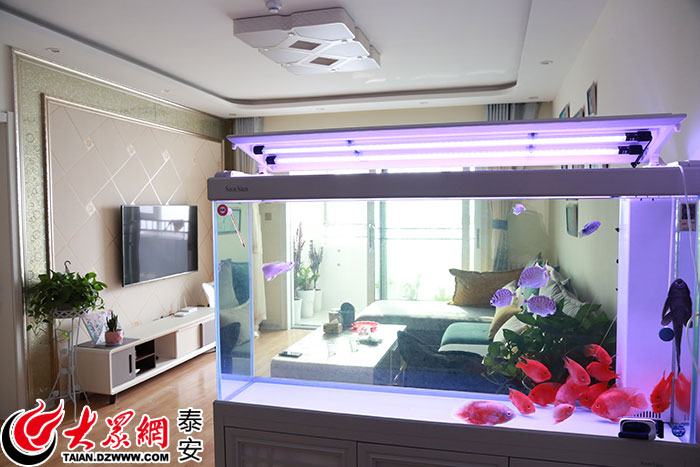 乡村振兴旧貌换新颜村民乐开花,村庄变美了生活更好了