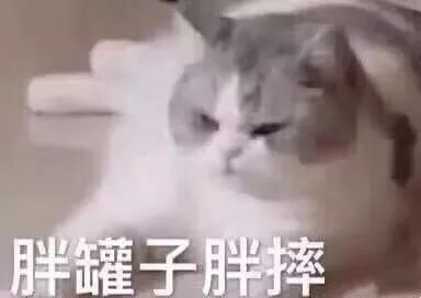 错过双11活动以后还有活动吗,错过双11又错过双12