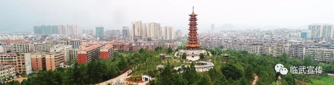 龙腾盛世“玉”见临武