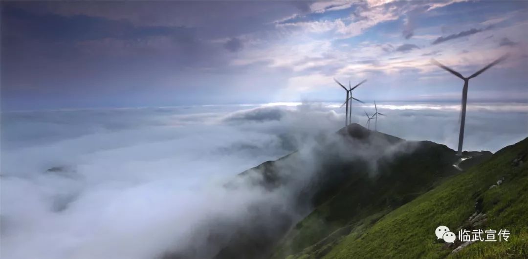 龙腾盛世“玉”见临武