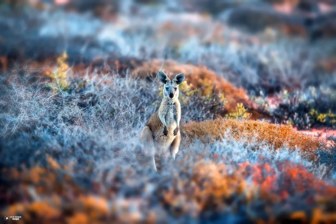 n个理由,十个理由告诉你为什么要独自旅行