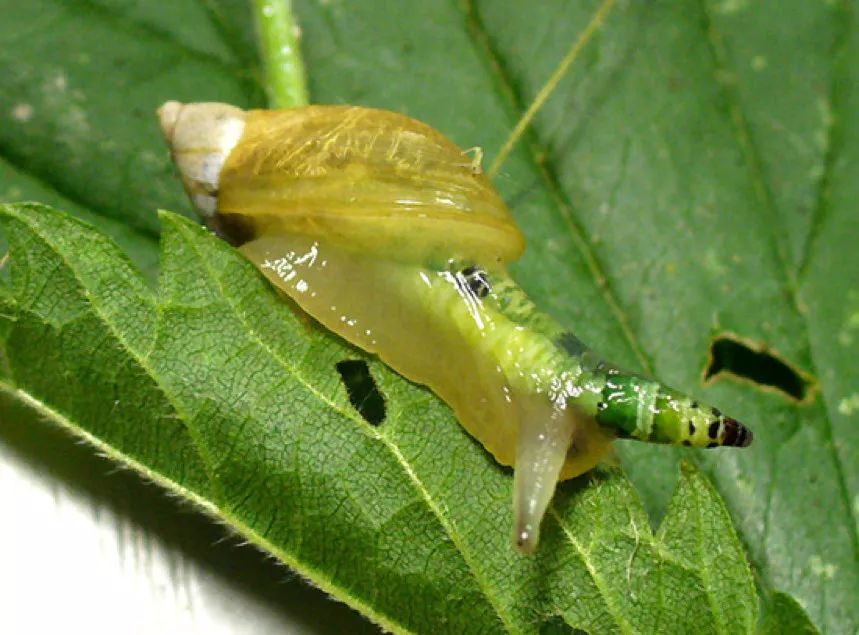 是敌是友分不清的状态,是敌是友一种很微妙的关系