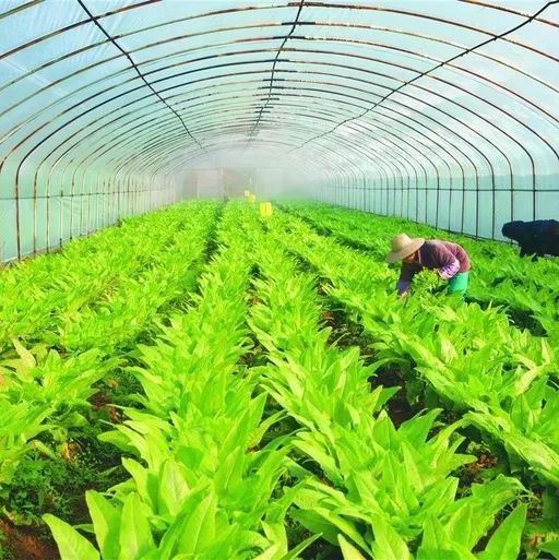 2019全国新农民新技术创业创新,全国新农民创业创新大会