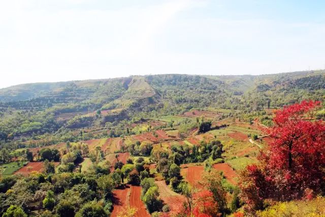 临潼地名的由来,临潼的历史简介