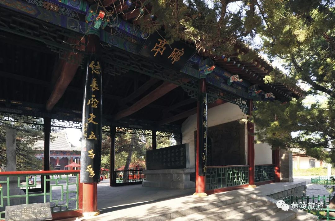 黄陵网红打卡地,黄陵风景视频