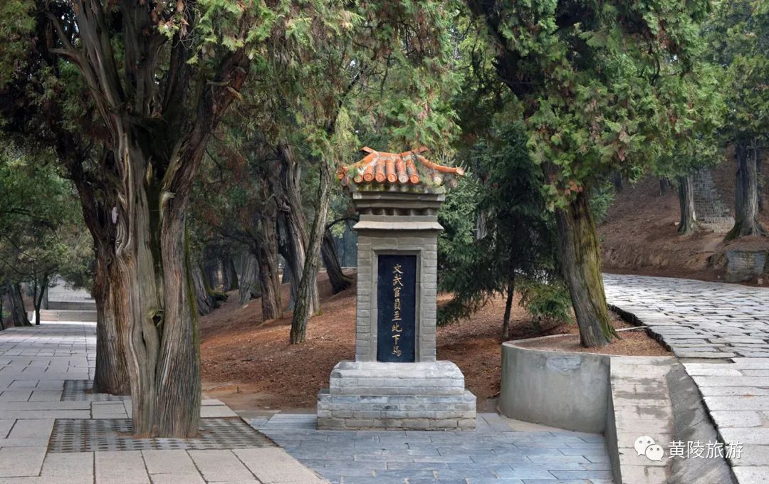 黄陵网红打卡地,黄陵风景视频