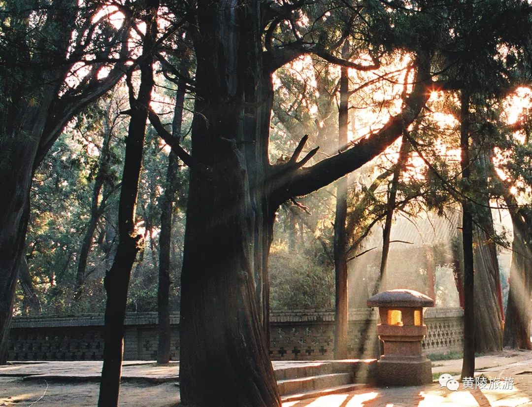 黄陵网红打卡地,黄陵风景视频