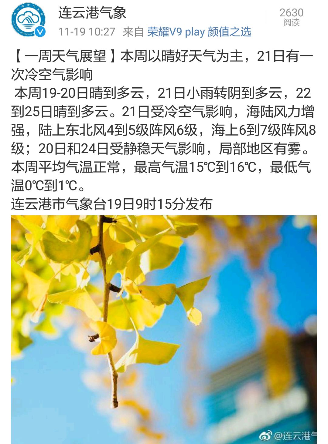 今天灌云温度,今天你穿秋裤了吗可爱图片