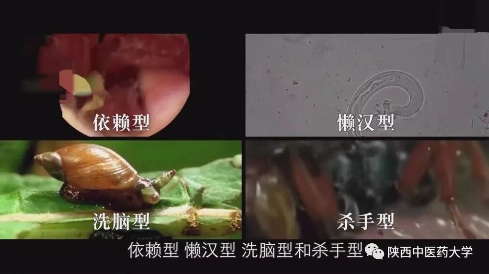 毒液的视角看毒液,医学生眼中的饮料图片