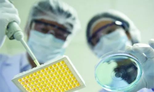 生物医学顶尖专家,全国十大生物医药巨头