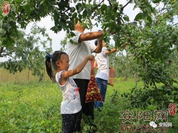 郑济高铁郑州到内黄票价多少,郑济高铁内黄中召段建设情况