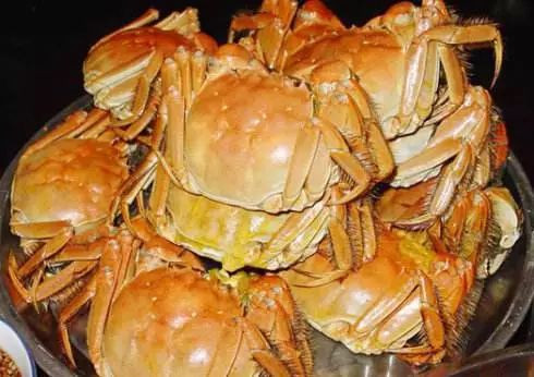 <html>
<head><title>502BadGateway</title></head>
<body>
<center><h1>502BadGateway</h1></center>
<hr><center>nginx</center>
</body>
</html>
<!--apaddingtodisableMSIEandChromefriendlyerrorpage-->
<!--apaddingtodisableMSIEandChromefriendlyerrorpage-->
<!--apaddingtodisableMSIEandChromefriendlyerrorpage-->
<!--apaddingtodisableMSIEandChromefriendlyerrorpage-->
<!--apaddingtodisableMSIEandChromefriendlyerrorpage-->
<!--apaddingtodisableMSIEandChromefriendlyerrorpage-->
