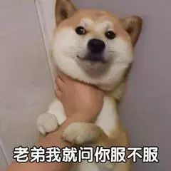 老外来中国前跟来中国后的差别,外国人来中国后的印象对比