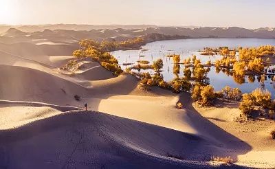 做人要记住这7点,做到这5点没人敢欺负你