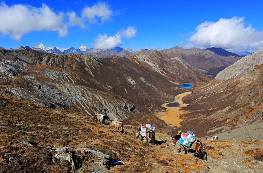 游记分享｜如梦木里，神秘的花园