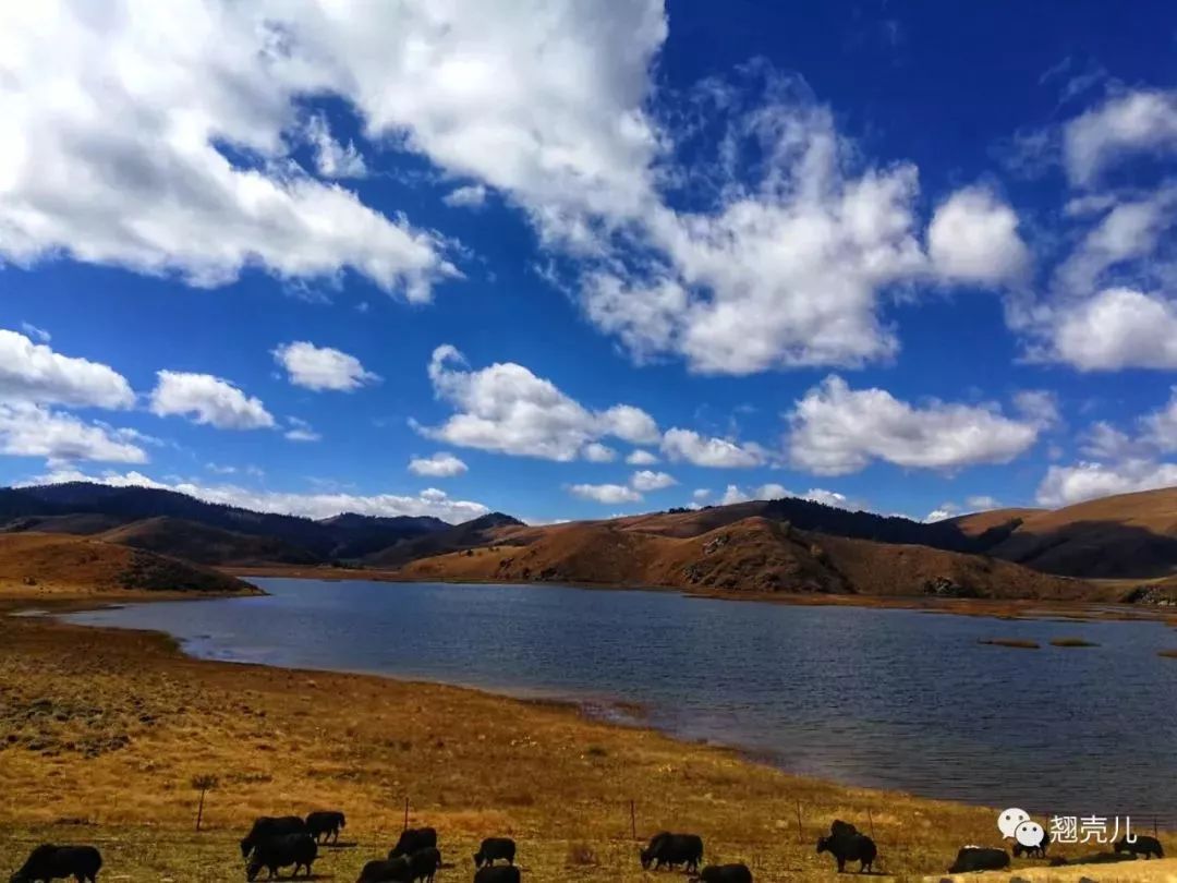 游记分享｜如梦木里，神秘的花园