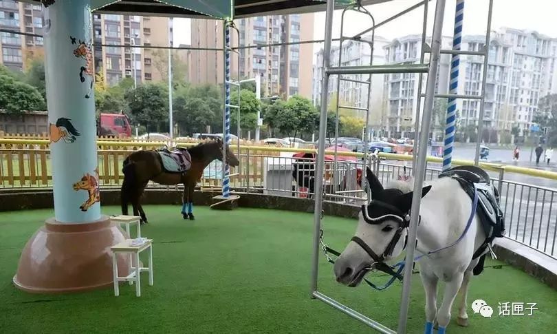 世界上最残忍的游戏就是旋转木马,这样的旋转木马你敢坐吗