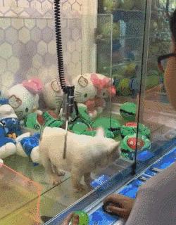 世界上最残忍的游戏就是旋转木马,这样的旋转木马你敢坐吗