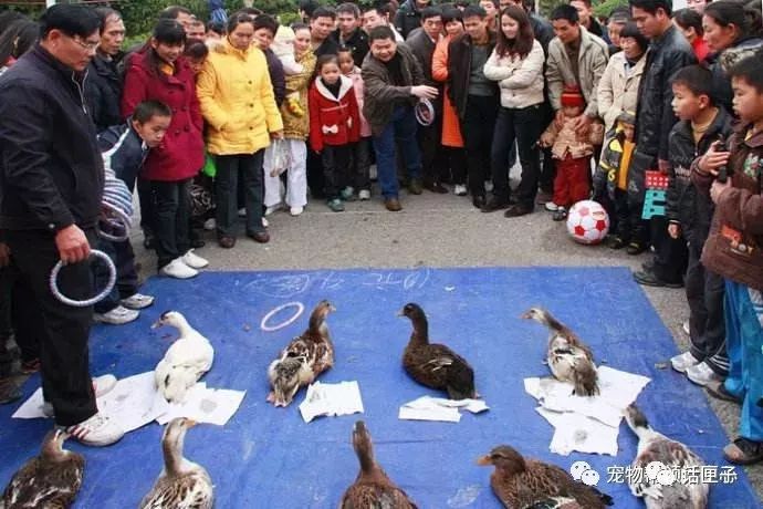 世界上最残忍的游戏就是旋转木马,这样的旋转木马你敢坐吗