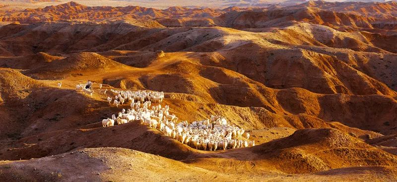 巴彦淖尔2日游旅游推荐,巴彦淖尔春节自驾游旅游攻略