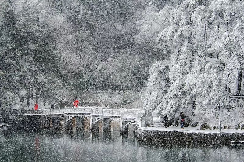 入展图赏｜中国梦庐山恋