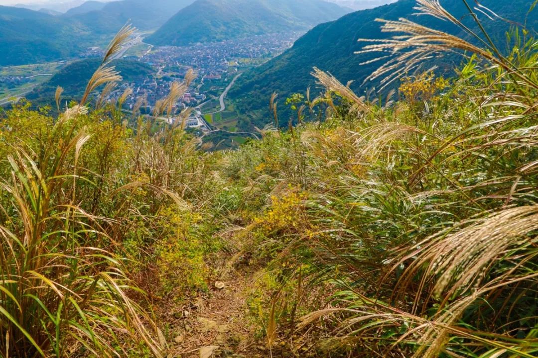 北仑河头游步道,一条游步道串起北仑
