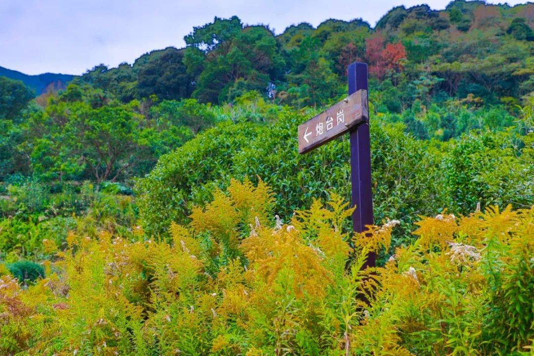 北仑河头游步道,一条游步道串起北仑