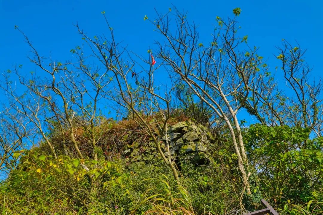 北仑河头游步道,一条游步道串起北仑