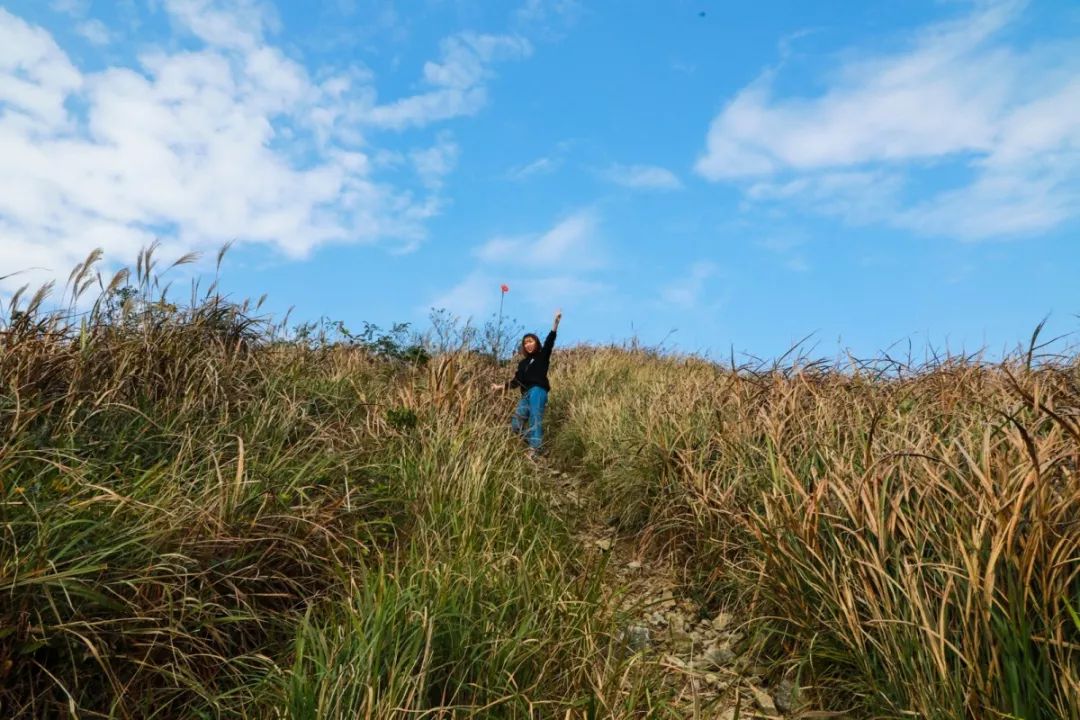 北仑河头游步道,一条游步道串起北仑