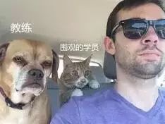 荣兴、瑞通等4家驾校质量信誉考核不合格,看看有没有你的驾校