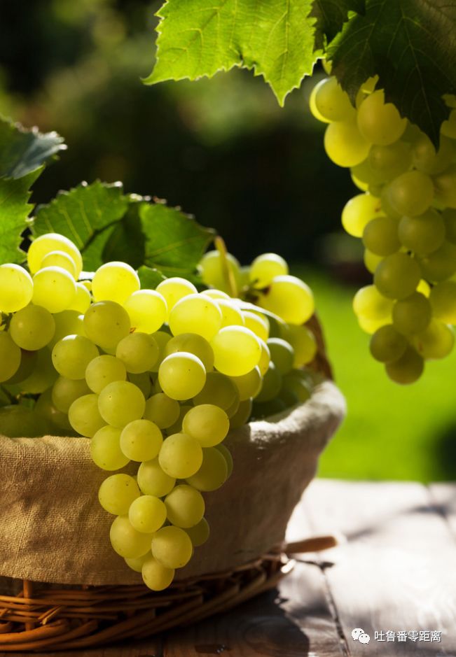 好消息吐鲁番,吐鲁番机场最新航班信息