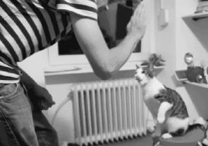 屋里暖气热嗓子干疼吃什么药,冬季室内空气干燥嗓子疼