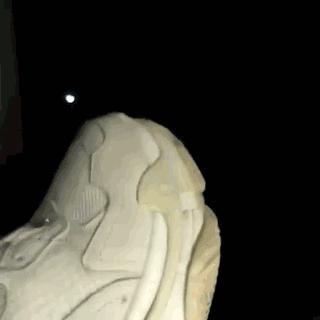 DG辱华,陈坤李冰冰等拒绝出席活动,今晚让你彻底凉透!