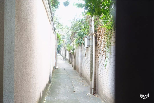 越秀华侨新村二期,广州越秀区生活的真实感受