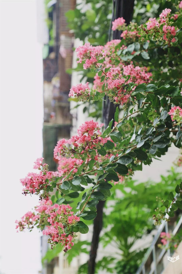 越秀华侨新村二期,广州越秀区生活的真实感受