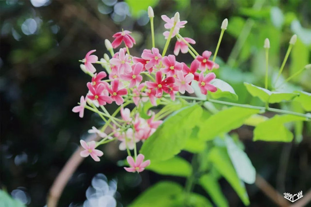 越秀华侨新村二期,广州越秀区生活的真实感受