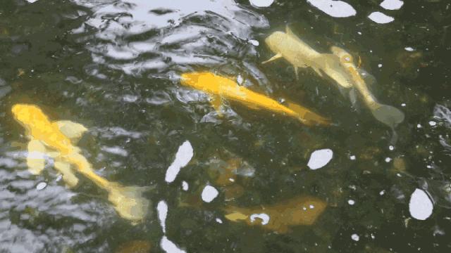 越秀华侨新村二期,广州越秀区生活的真实感受