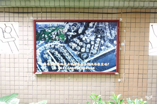 越秀华侨新村二期,广州越秀区生活的真实感受