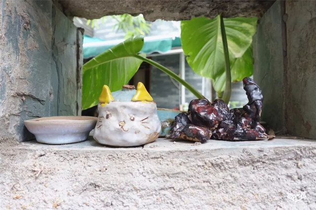 越秀华侨新村二期,广州越秀区生活的真实感受