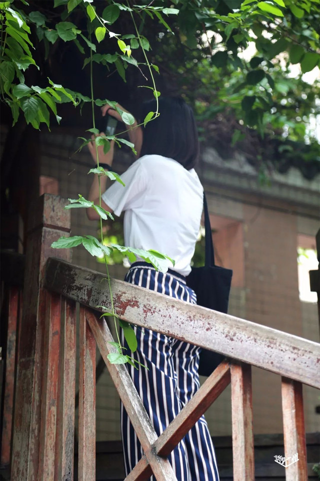 越秀华侨新村二期,广州越秀区生活的真实感受