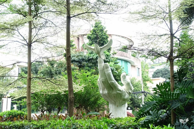 越秀华侨新村二期,广州越秀区生活的真实感受